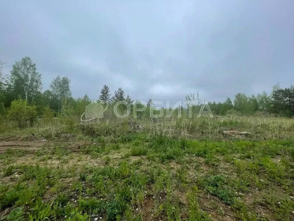 Участок в Тюменская область, Нижнетавдинский район, с. Тюнево  (6.0 ... - Фото 1