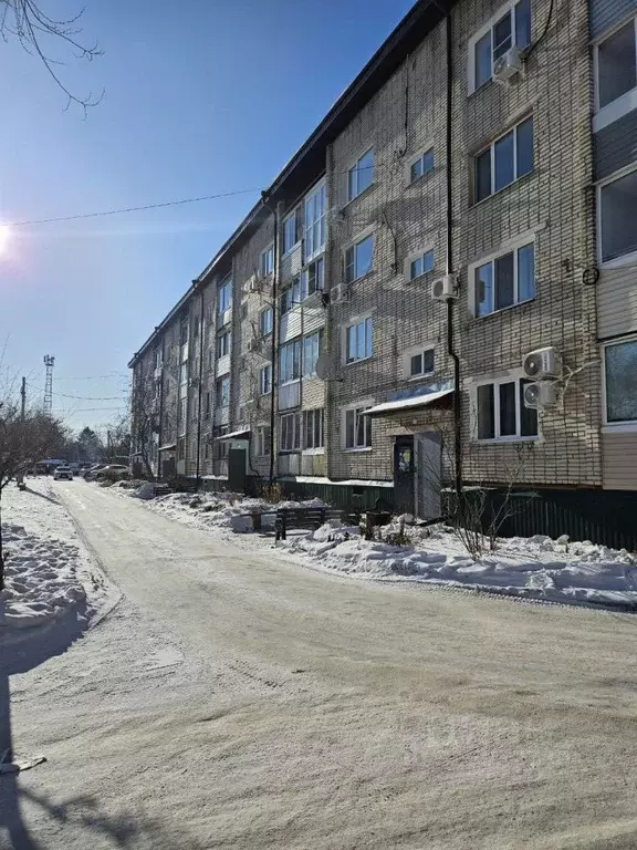 3-к кв. Хабаровский край, Хабаровский район, с. Сосновка Шоссейная ... - Фото 1