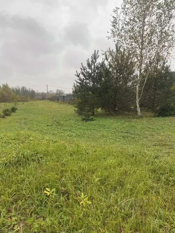 Участок в Московская область, Ступино городской округ, с. Березнецово  ... - Фото 2