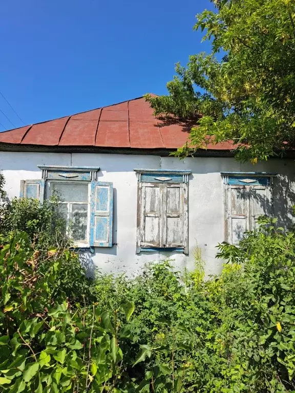 Дом в Оренбургская область, Илекский район, с. Рассыпное  (65 м) - Фото 1