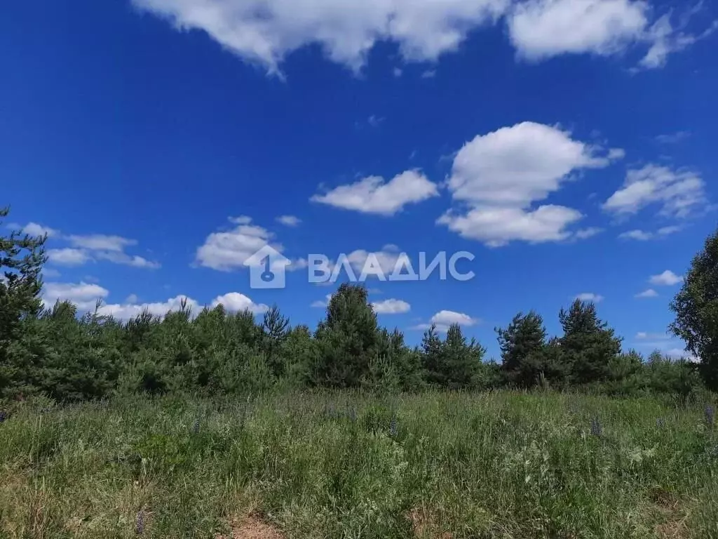 Участок в Владимирская область, Камешковский район, Второвское ... - Фото 0