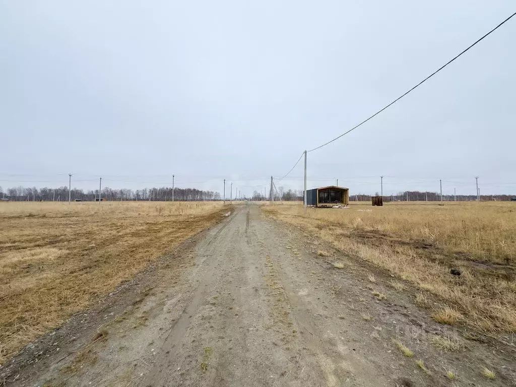 Участок в Тюменская область, Тюменский муниципальный округ, Дачи Хюгге ... - Фото 1