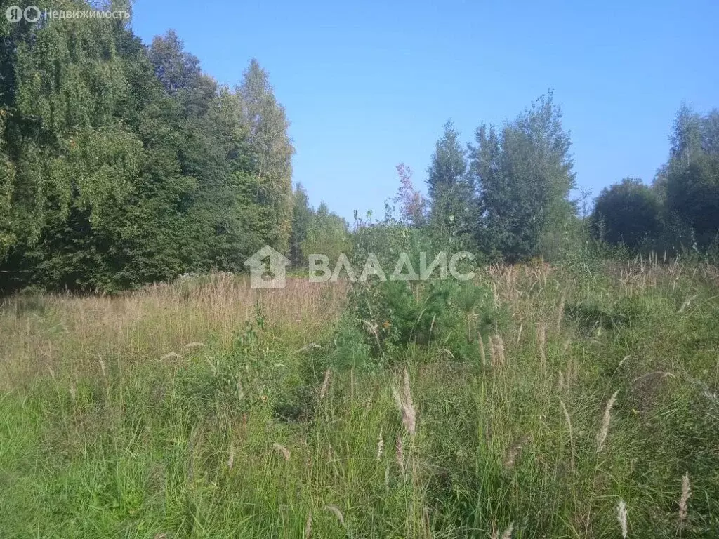 Участок в муниципальное образование Новосельское, СТ Сенино-2 (6 м) - Фото 1