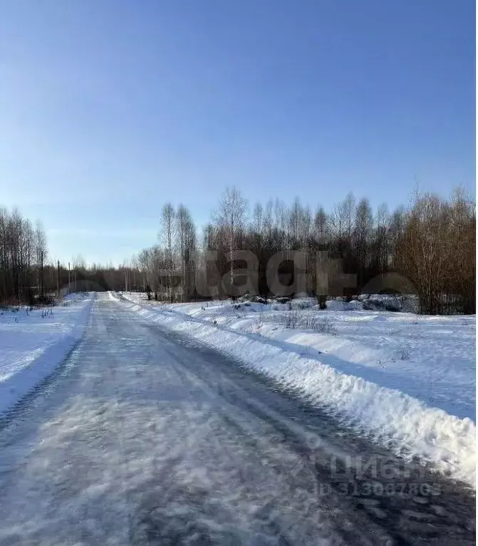 Участок в Вологодская область, Череповецкий район, Югское ... - Фото 1