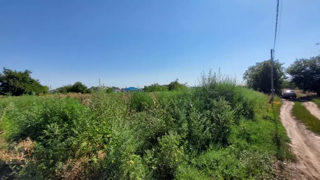 Участок в Краснодарский край, Темрюк Северные Сады СОТ, ул. Мускатная ... - Фото 1