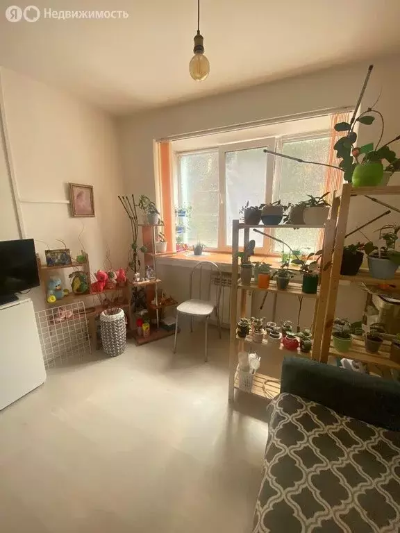 Квартира-студия: Иркутск, Депутатская улица, 48 (16.9 м) - Фото 1