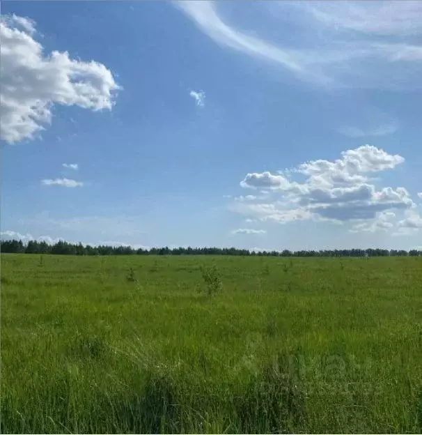 Участок в Татарстан, Зеленодольский район, Бишнинское с/пос, д. ... - Фото 0
