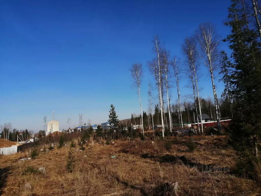 Участок в Пермский край, Губаха пер. Тихий, 12 (14.0 сот.) - Фото 1