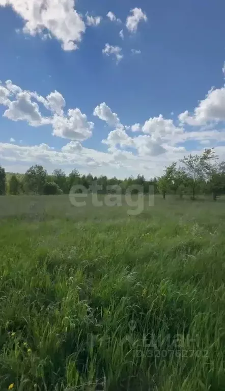 Участок в Нижегородская область, Богородский муниципальный округ, ... - Фото 0