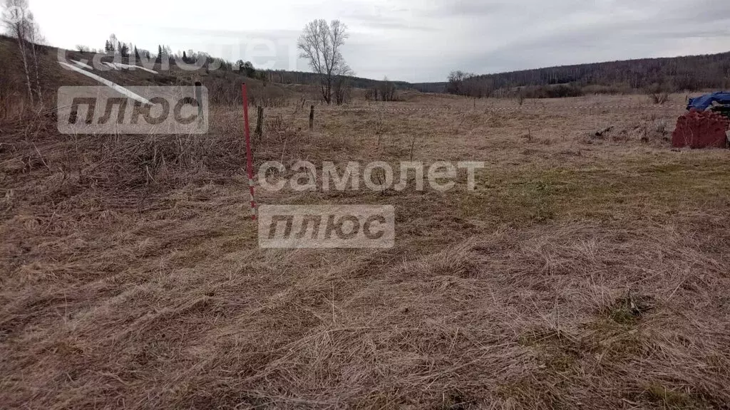 Участок в Маслянинский район, деревня Новолушниково (Барабаново) (5 м) - Фото 0