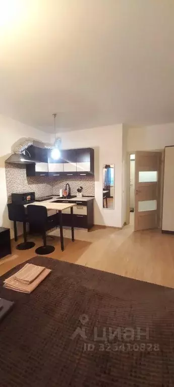 Студия Санкт-Петербург Комендантский просп., 67 (26.0 м) - Фото 2