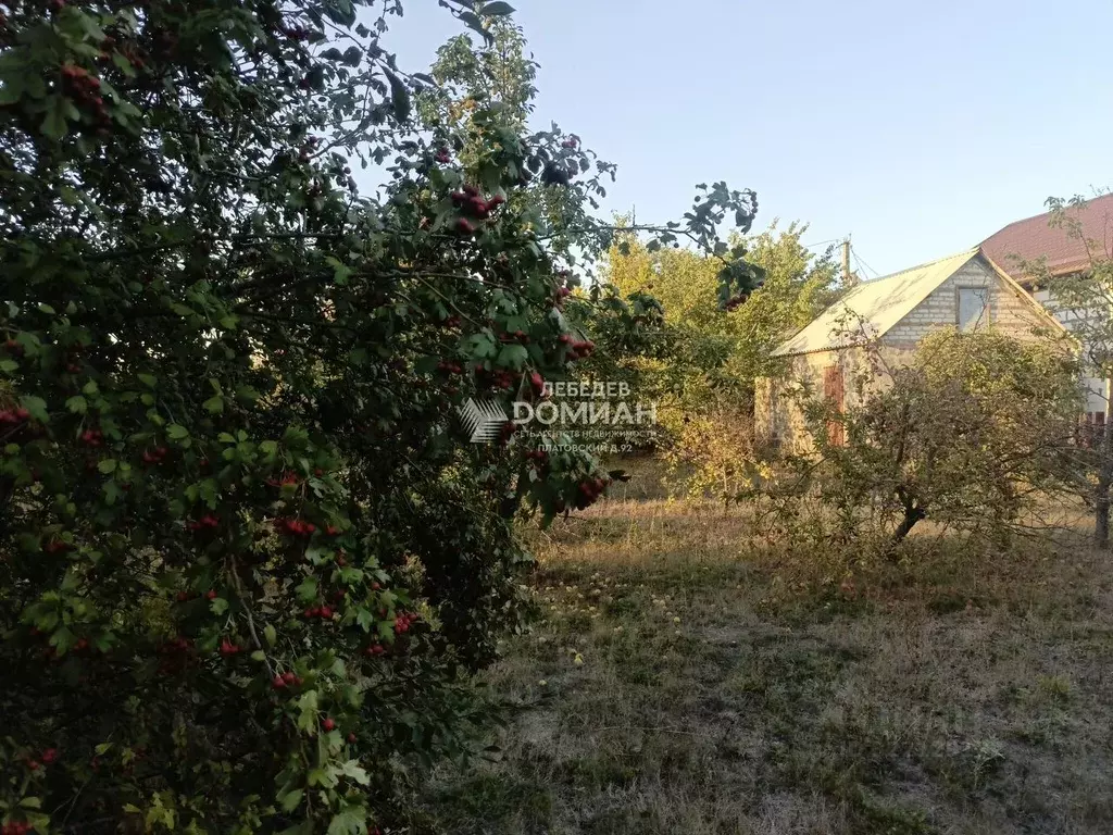 Участок в Ростовская область, Октябрьский район, Красюковское с/пос, ... - Фото 2