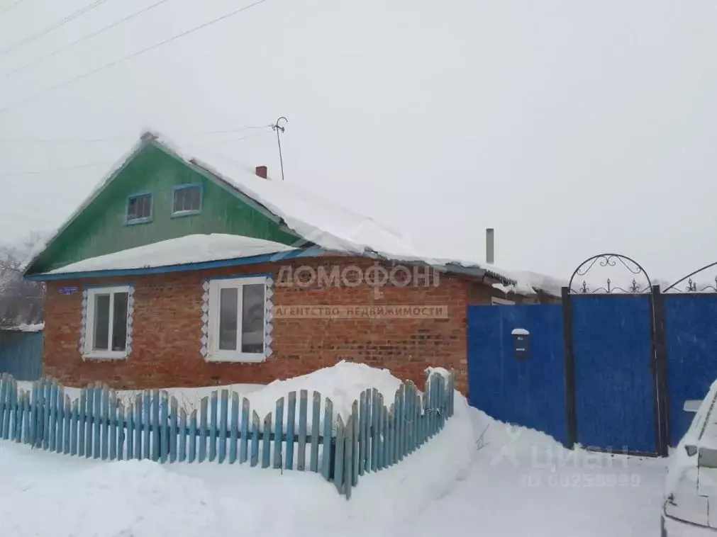 Дом в Омская область, Муромцевский район, с. Низовое Трактовая ул., 14 ... - Фото 0