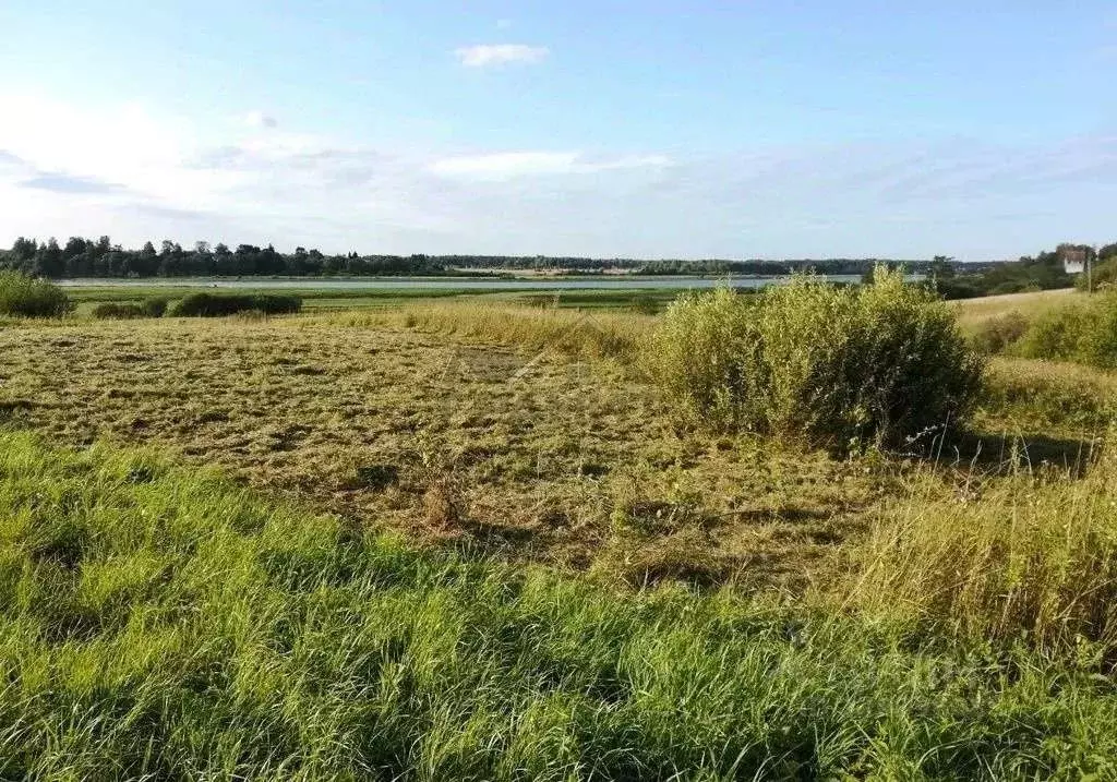 Участок в Новгородская область, Чудовский район, Трегубовское с/пос, ... - Фото 2