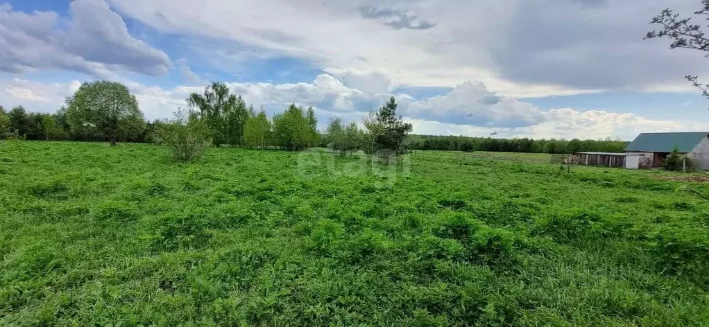 Участок в Владимирская область, Судогодский район, Мошокское ... - Фото 0