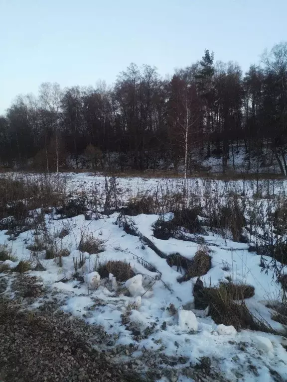 Участок в Московская область, Ступино городской округ, пос. Новоселки  ... - Фото 0