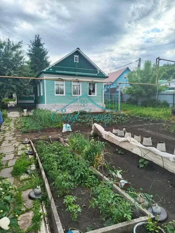 Дом в Оренбургская область, Кувандык Телеграфная ул., 33 (55 м) - Фото 0