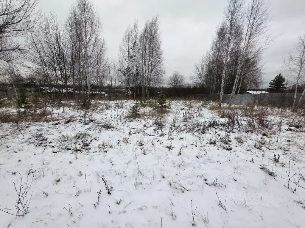 Участок в Московская область, Орехово-Зуевский городской округ, д. ... - Фото 1