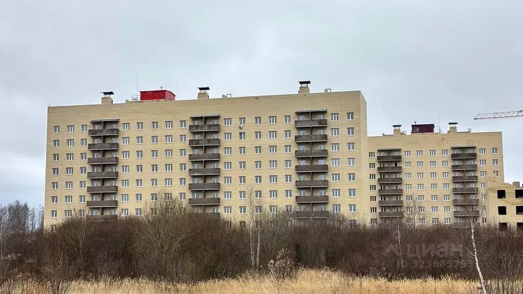 2-к кв. Ярославская область, Ярославль ул. Генерала Маргелова, 4 ... - Фото 1