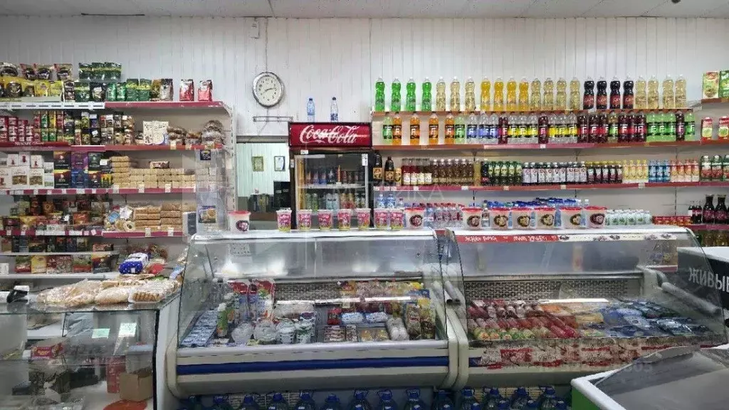 Торговая площадь в Тюменская область, Тюмень ул. Белинского, 12 (100 ... - Фото 1