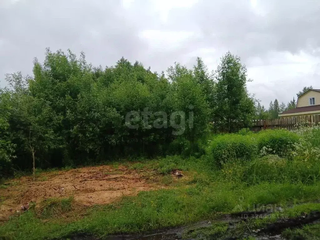 Участок в Ленинградская область, Волховский район, Иссадское с/пос, ... - Фото 1