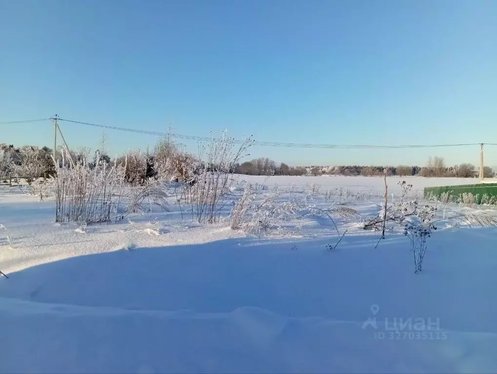 Участок в Ленинградская область, Гатчинский муниципальный округ, д. ... - Фото 2