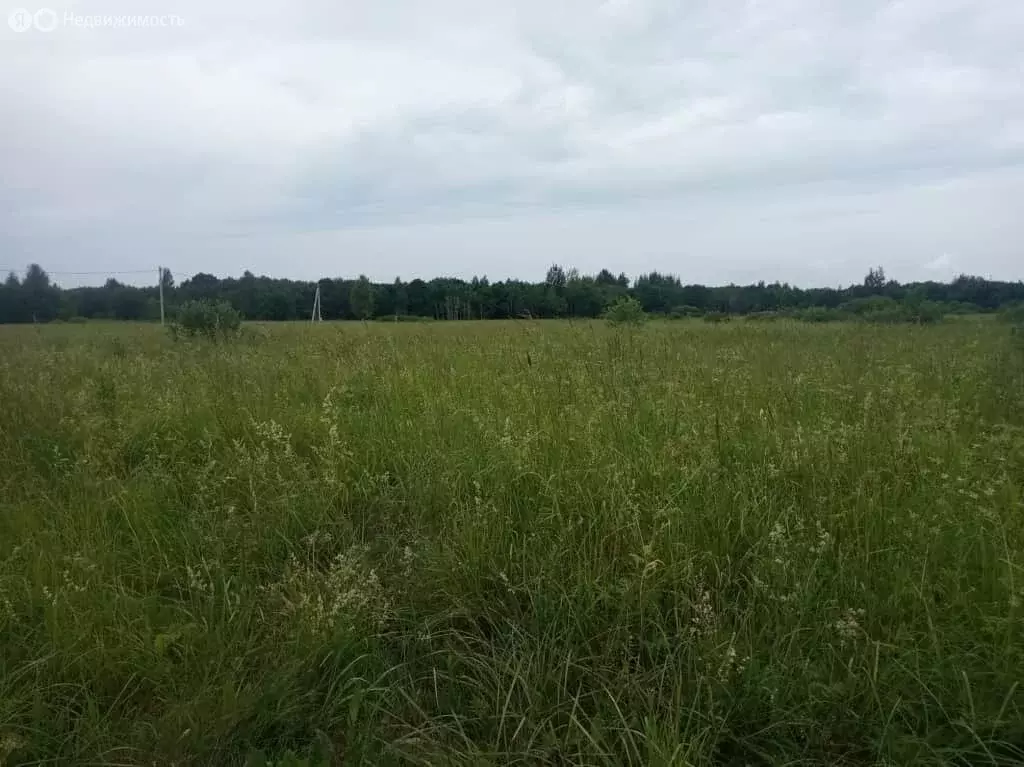 Участок в Псковский район, Логозовская волость, деревня Малая Листовка ... - Фото 0