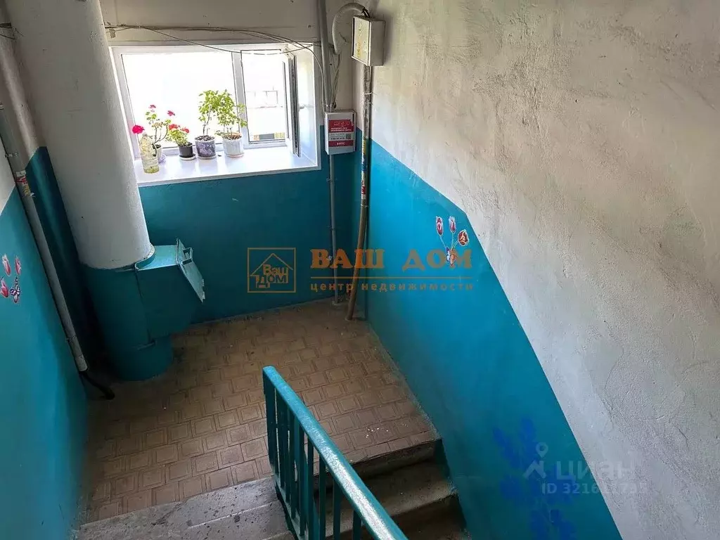 Комната Тульская область, Тула ул. Кирова, 202Б (25.2 м) - Фото 1