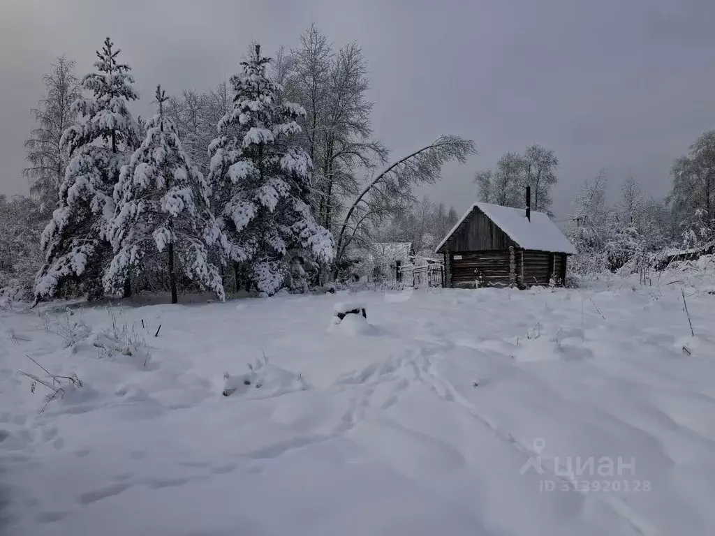 Участок в Ленинградская область, Киришский район, Глажевское с/пос, ... - Фото 0