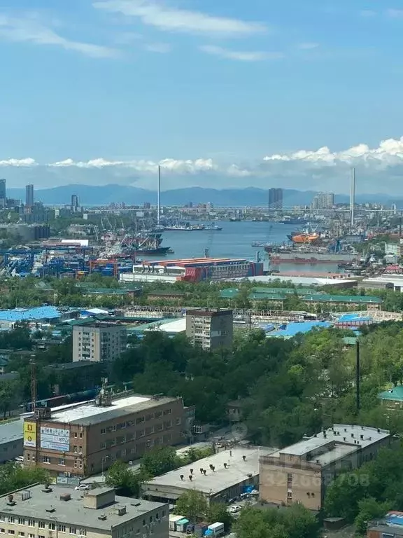 Студия Приморский край, Владивосток Стрелковая ул., 18к2 (28.0 м) - Фото 2