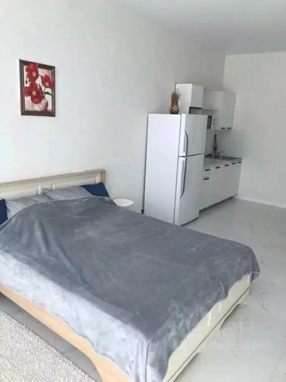 1-к кв. Приморский край, Владивосток ул. Грибоедова, 46А (27.0 м) - Фото 0
