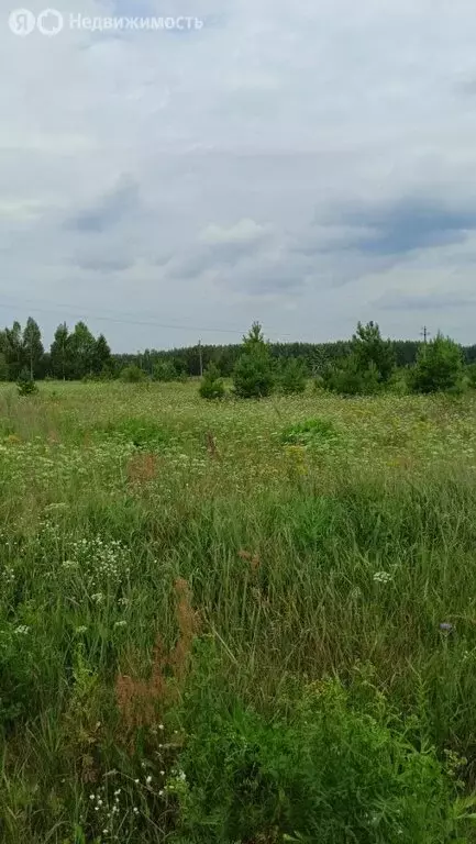 Участок в село Чернуха, улица Стырова (15 м) - Фото 0