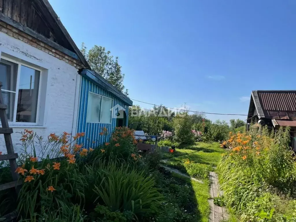 Дом в Алтайский край, Солтонский район, пос. Тосток Центральная ул. ... - Фото 2