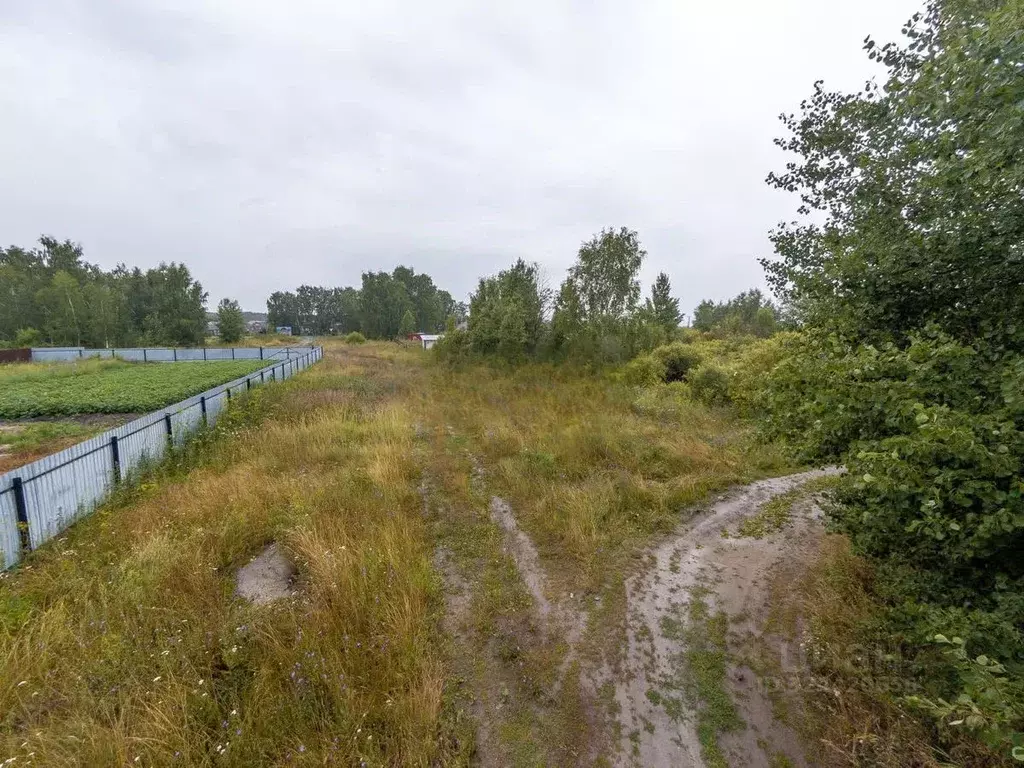 Участок в Тюменская область, Тюменский муниципальный округ, д. ... - Фото 2