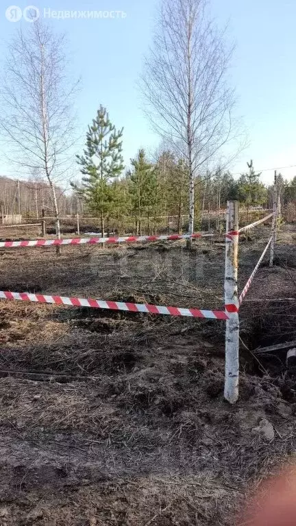 Участок в Зеленодольск, садовое товарищество Трудовик (5 м) - Фото 0