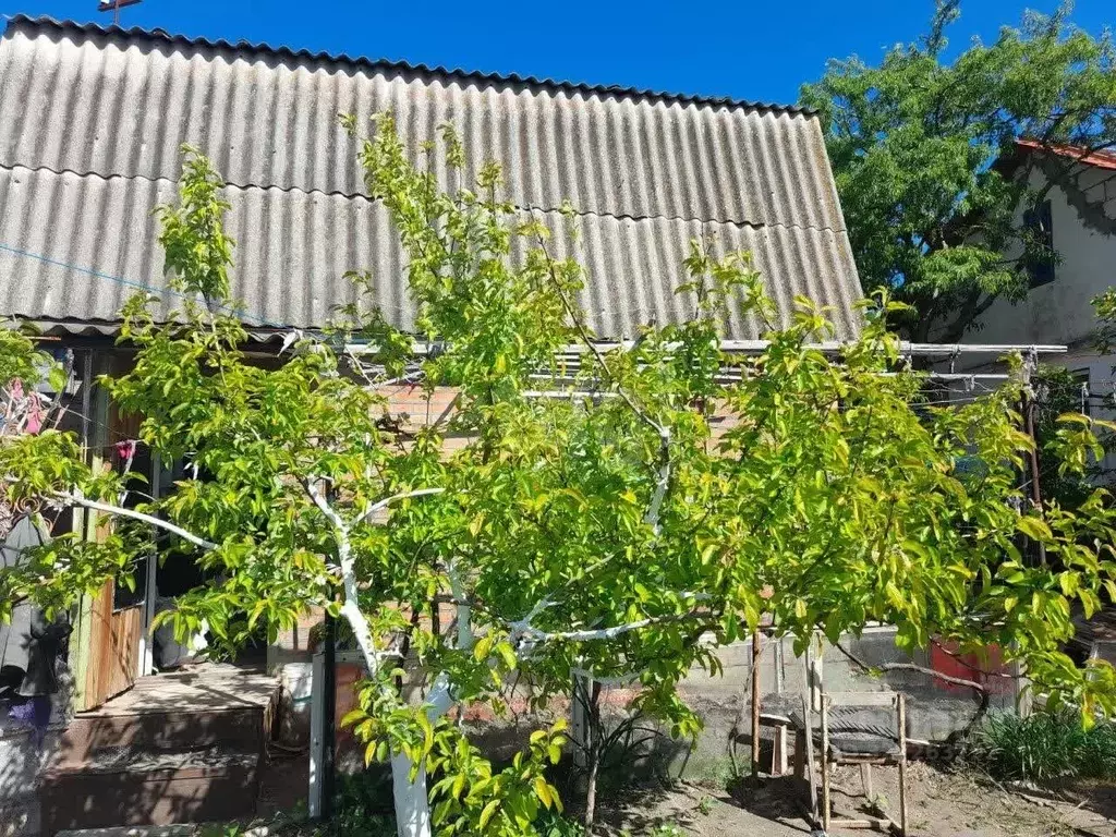 Участок в Крым, Щелкино Ленинский район, ул. Виноградная (4.0 сот.) - Фото 2