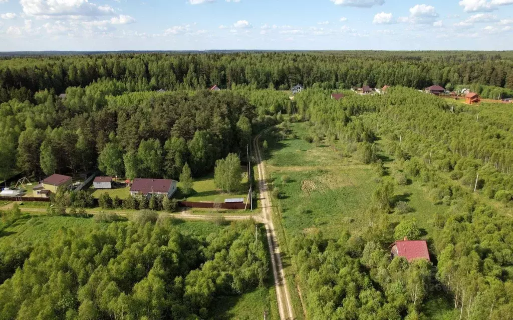 Участок в Московская область, Можайский городской округ, Лесные ... - Фото 1