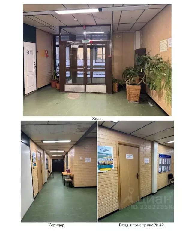 Помещение свободного назначения в Карелия, Костомукша ул. ... - Фото 2