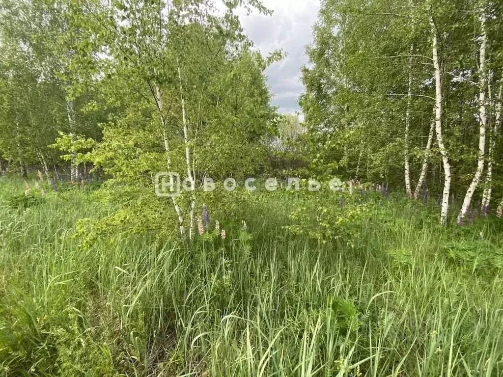 Участок в Рязанская область, Рязанский район, Полянское с/пос, Радуга ... - Фото 0