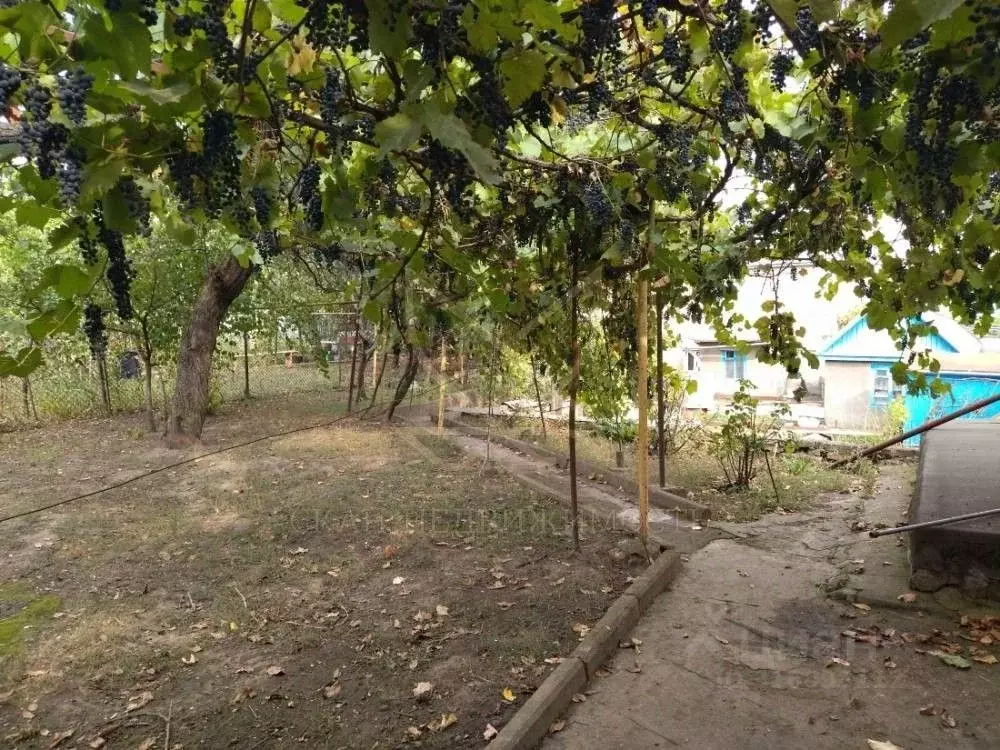 Дом в Ставропольский край, Пятигорск городской округ, пос. ... - Фото 0
