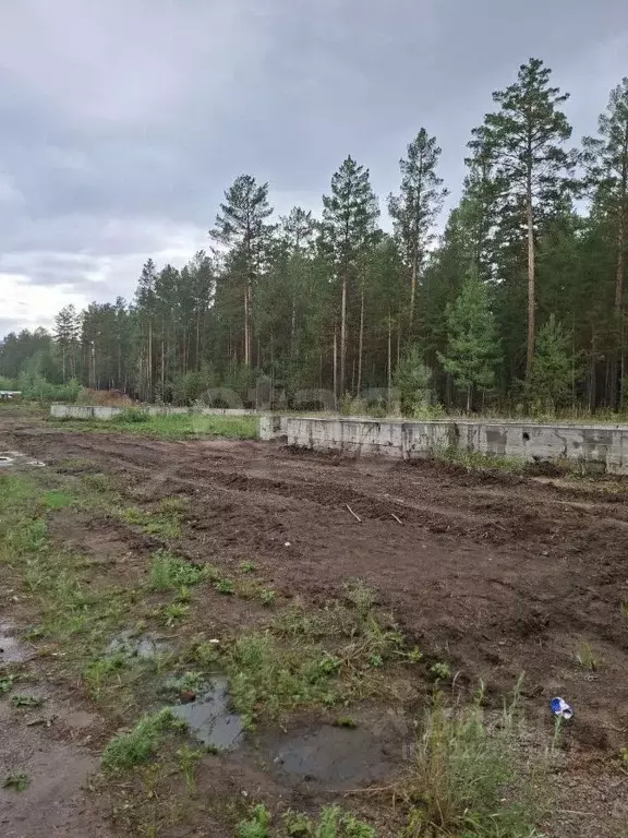 Участок в Забайкальский край, Читинский район, с. Смоленка ул. ... - Фото 1