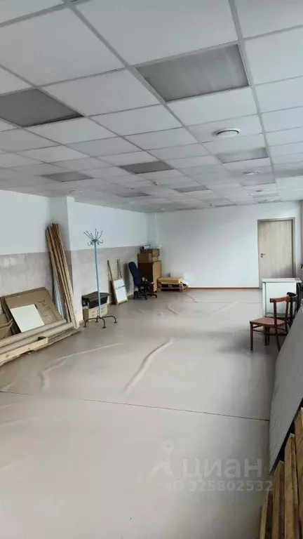 Помещение свободного назначения в Новосибирская область, Новосибирск ... - Фото 1