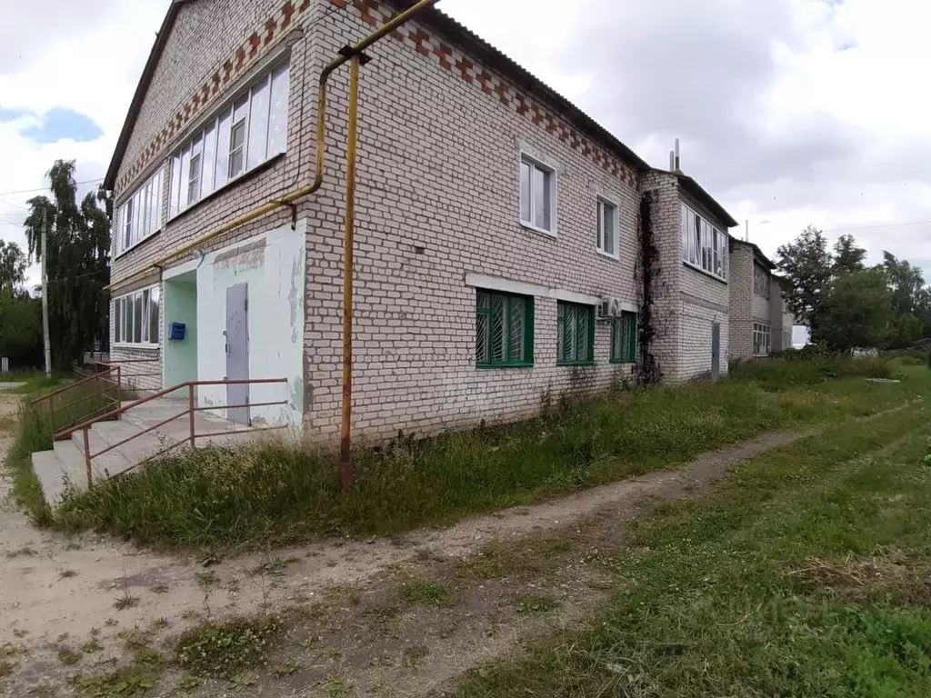 Помещение свободного назначения в Нижегородская область, Пильна рп ул. ... - Фото 0