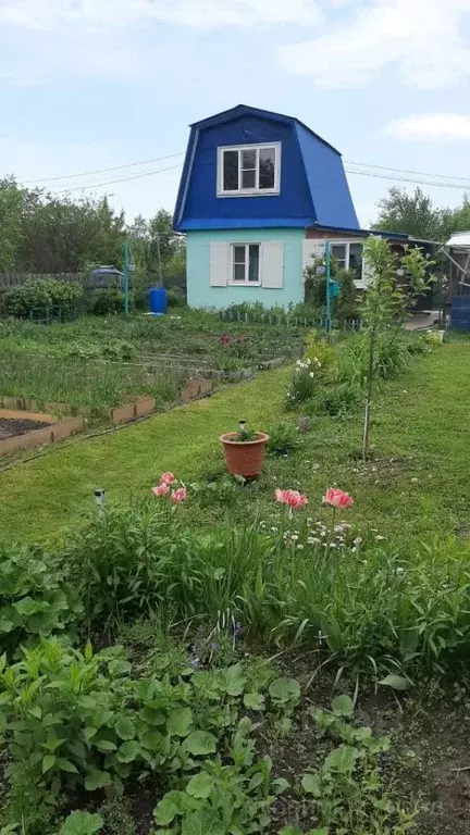Дом в Нижегородская область, Бор Рассвет СНТ,  (29 м) - Фото 2