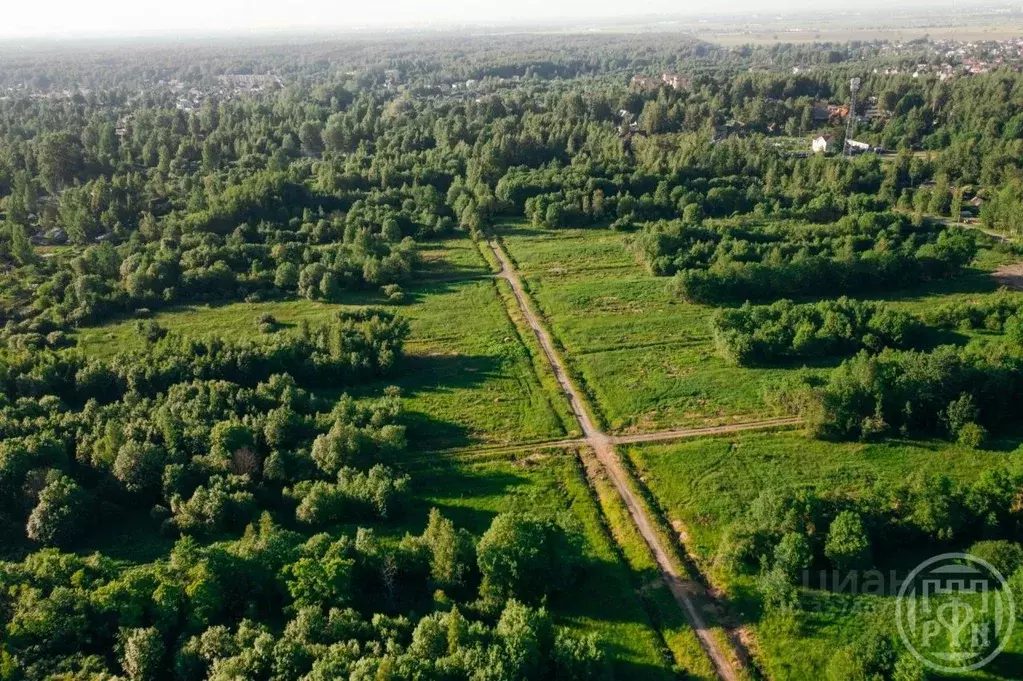 Участок в Санкт-Петербург пос. Александровская, ул. Пограничная (16.8 ... - Фото 2