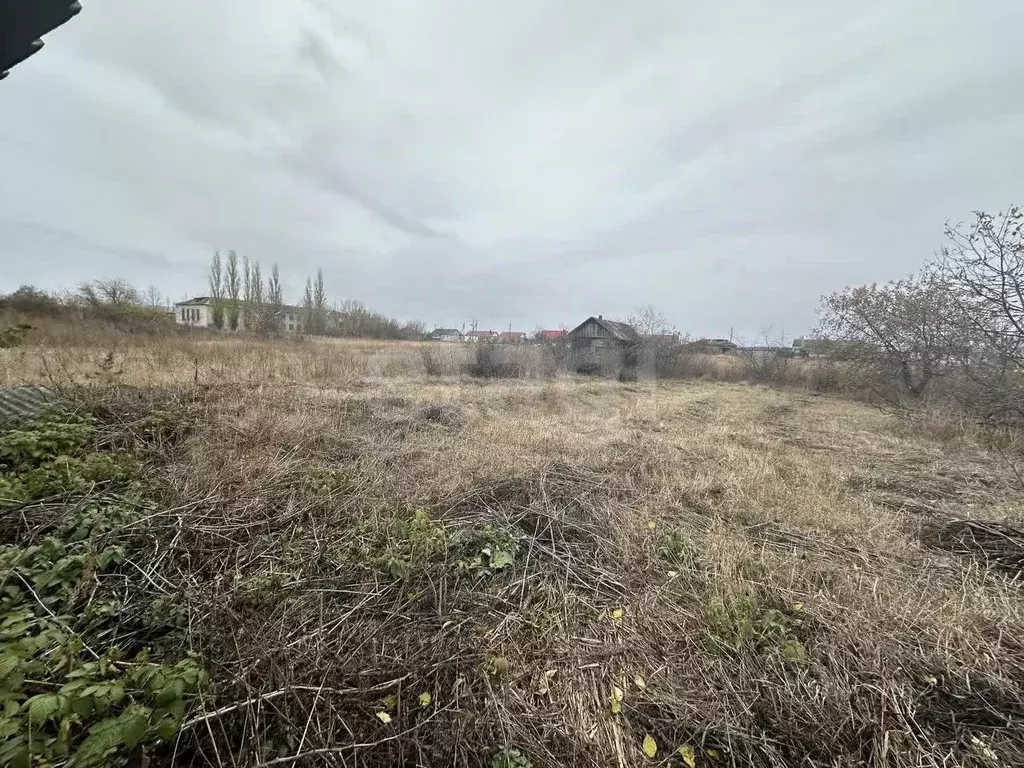 Участок в Воронежская область, Борисоглебский городской округ, с. ... - Фото 1