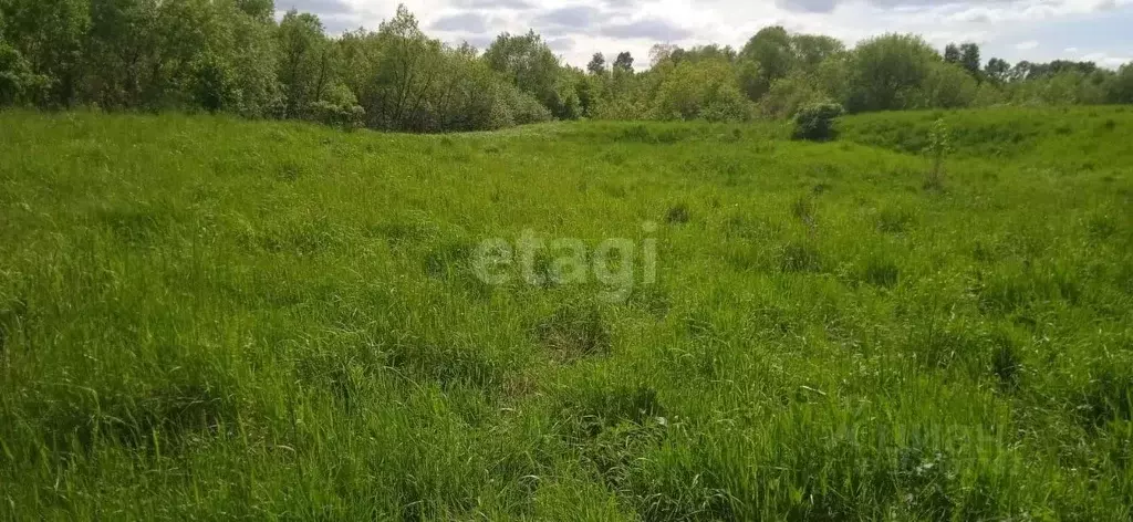 Участок в Алтайский край, Белокуриха ул. Нижняя (11.8 сот.) - Фото 0