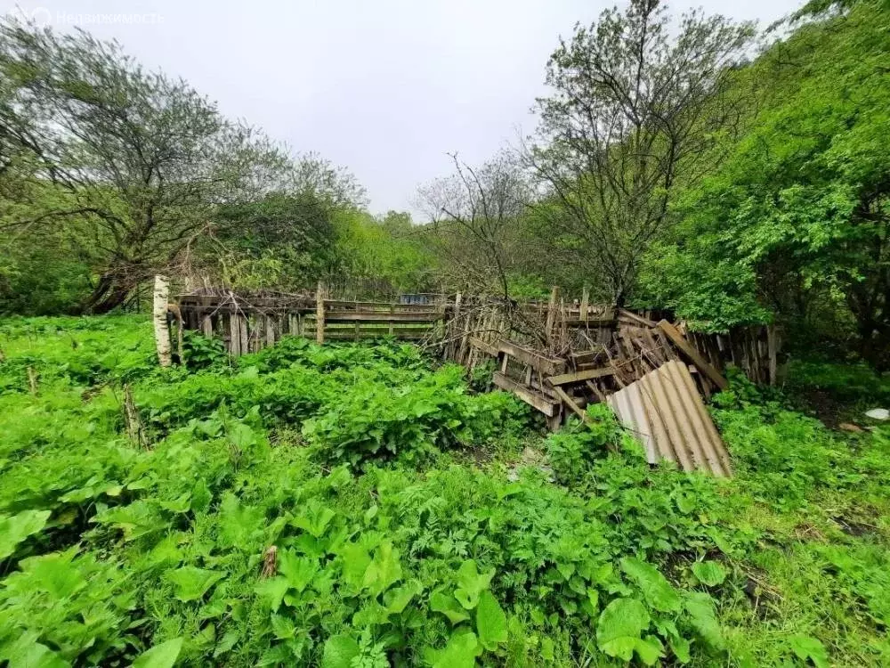 Участок в Ставропольский край, Благодарненский муниципальный округ ... - Фото 1