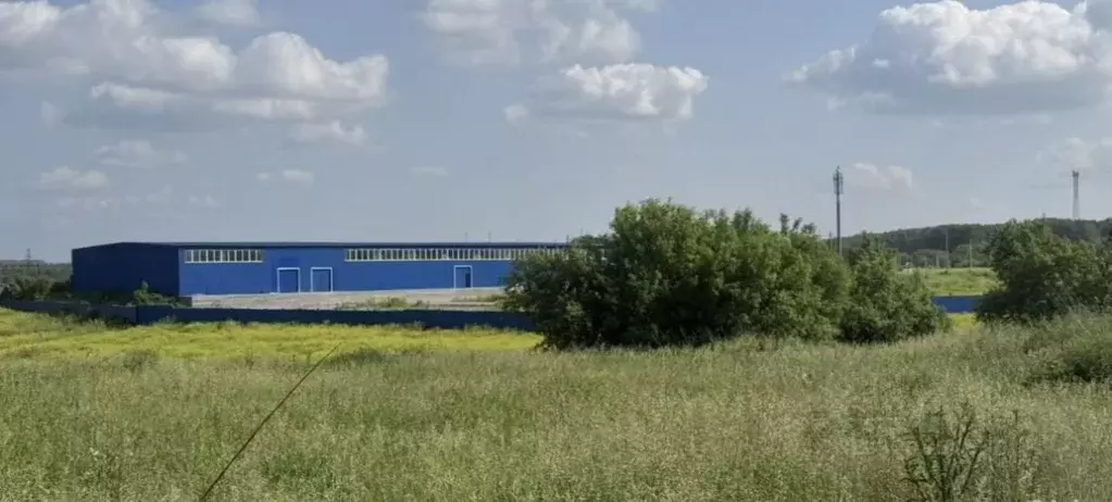 Помещение свободного назначения в Новосибирская область, Искитим Ложок ... - Фото 0