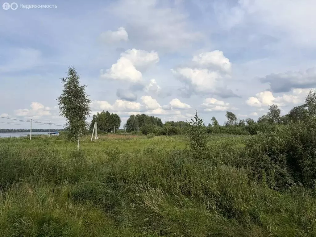 Участок в Московская область, Шатура (15 м) - Фото 1